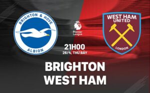 khả năng Brighton giành chiến thắng trong trận đấu tới khá cao